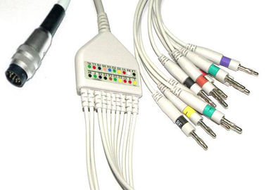 China 10kΩ Resistance EKG Wires 12 Pin 3.6 Meter Banana IEC , No Toxic supplier